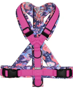 HUNDEGESCHIRR FOLKLORE, GEPOLSTERT, (OXFORD), KOMPLETT KONFIGURIERBAR