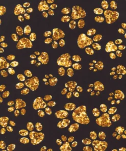 BUMER Hundegeschirr GOLDENE PFOTEN gepolstert, (Softshell), komplett konfigurierbar