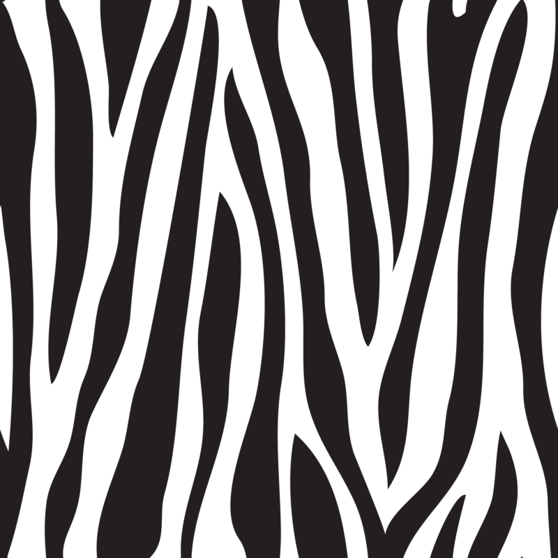 Zebra 2