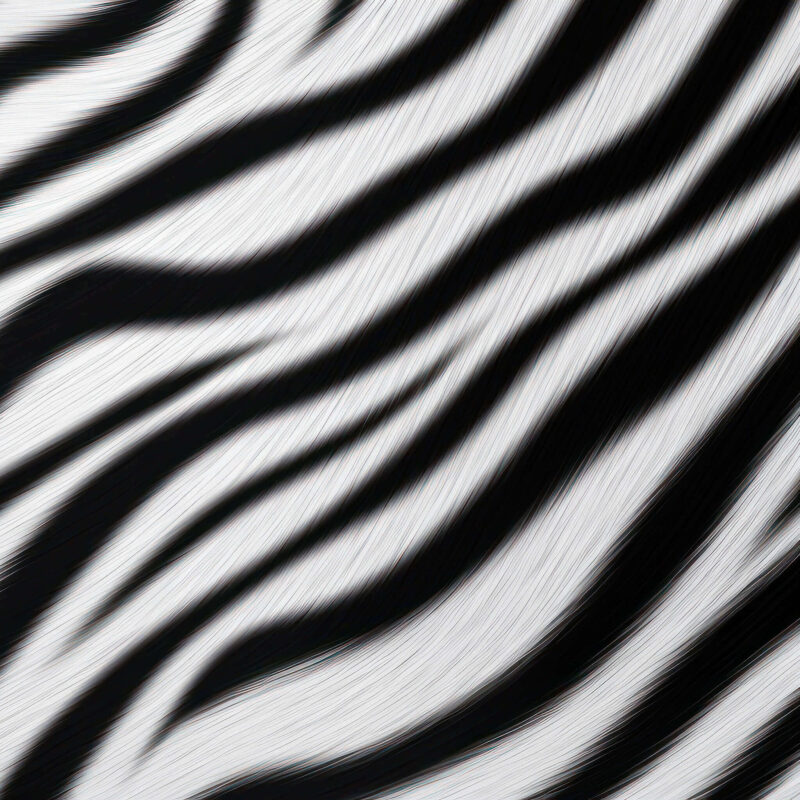 ZEBRA (realistisch)