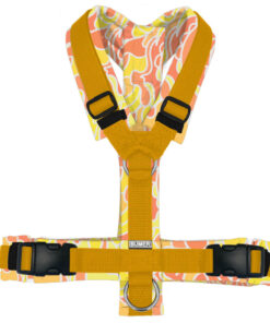 BUMER HUNDEGESCHIRR “WIRBELMUSTER” MODERNES SOFTSHELL-HUNDEGESCHIRR “WIRBELMUSTER”, GEPOLSTERT, (SOFTSHELL), KOMPLETT KONFIGURIERBAR