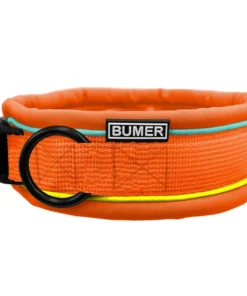 BUMER Hundehalsband, Steck-Halsband, gepolstert, Softshell, konfigurierbar
