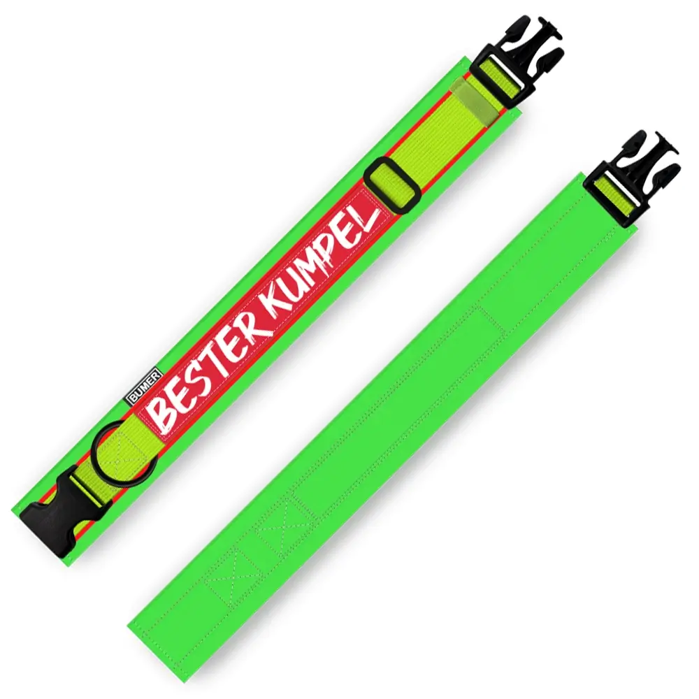 BUMER NAMETAG Hundehalsband, Steck-Halsband