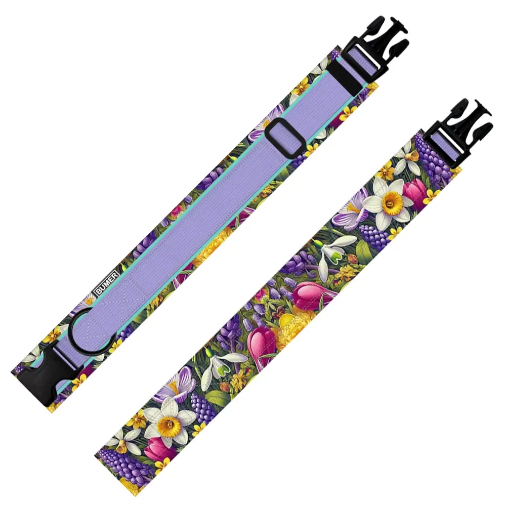 BUMER Hundehalsband, Steck-Halsband KUNDENSUPPORT-KREATIV