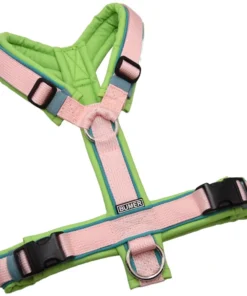 BUMER Hundegeschirr, gepolstert ohne geteilten Bruststeg, Größe S, Gurtband PREMIUM Blush Petal, Softshell Pistachio Ice, Ringe silberfarbig (Edelstahl), Schnallen DURAFLEX®, Paspel Türkis Twirl (komplett)