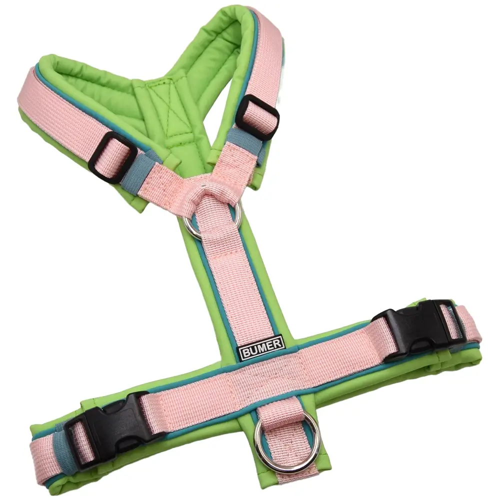 BUMER Hundegeschirr, gepolstert ohne geteilten Bruststeg, Größe S, Gurtband PREMIUM Blush Petal, Softshell Pistachio Ice, Ringe silberfarbig (Edelstahl), Schnallen DURAFLEX®, Paspel Türkis Twirl (komplett)