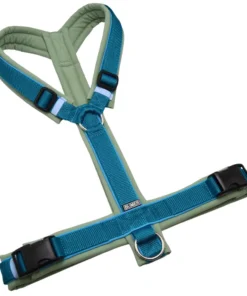 BUMER Hundegeschirr, gepolstert ohne geteilten Bruststeg, Größe XL, Gurtband PREMIUM X Petrol, Softshell Eukalyptus, Ringe silberfarbig (Edelstahl), Schnallen schwarz (DURAFLEX®)