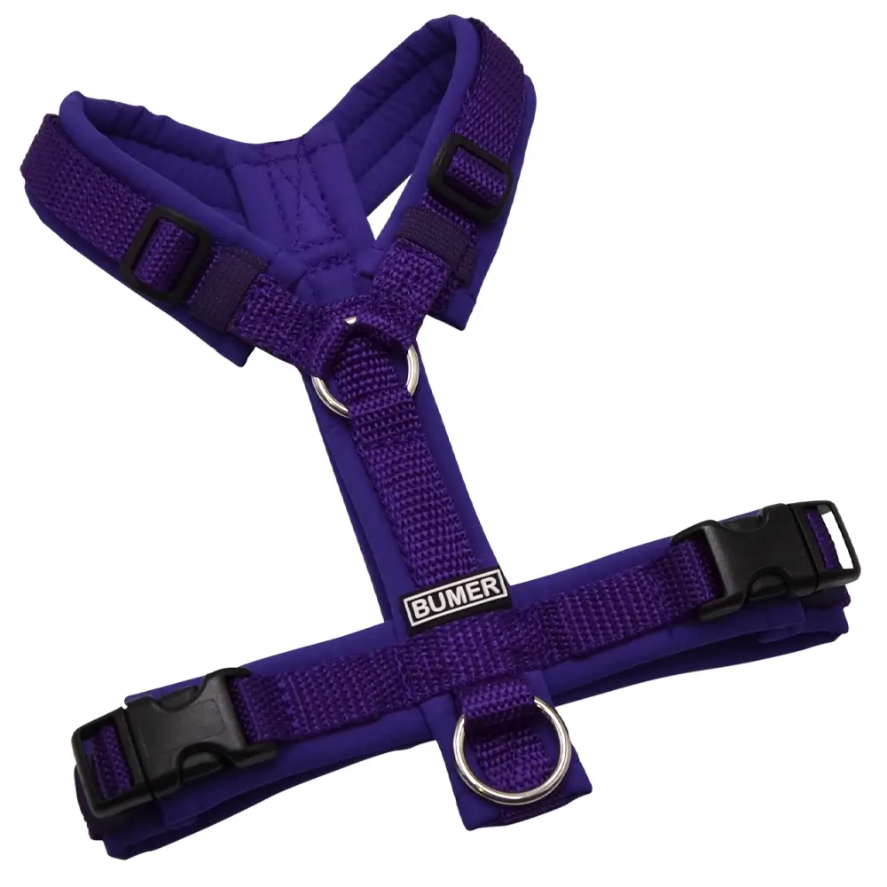 BUMER Hundegeschirr, gepolstert ohne geteilten Bruststeg, Zwischengröße XXS/XS, Gurtband PREMIUM X Twilight Plum, Softshell Lila Viola, Ringe silberfarbig (Edelstahl), Schnallen schwarz (DURAFLEX®)
