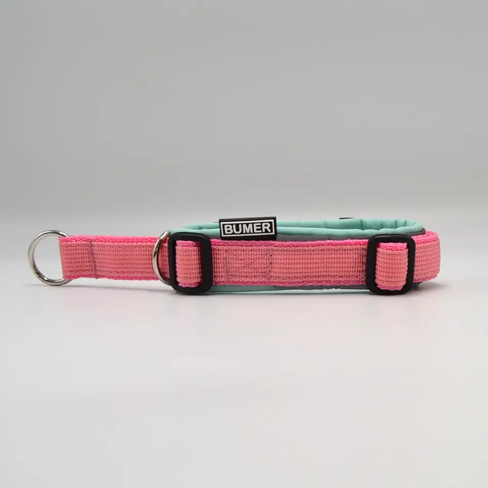 BUMER STACK-IT Zug-Stopp, Hundehalsband für Hunde, gepolstert, Halsumfang 25-31 cm, Ring silberfarbig (Edelstahl)