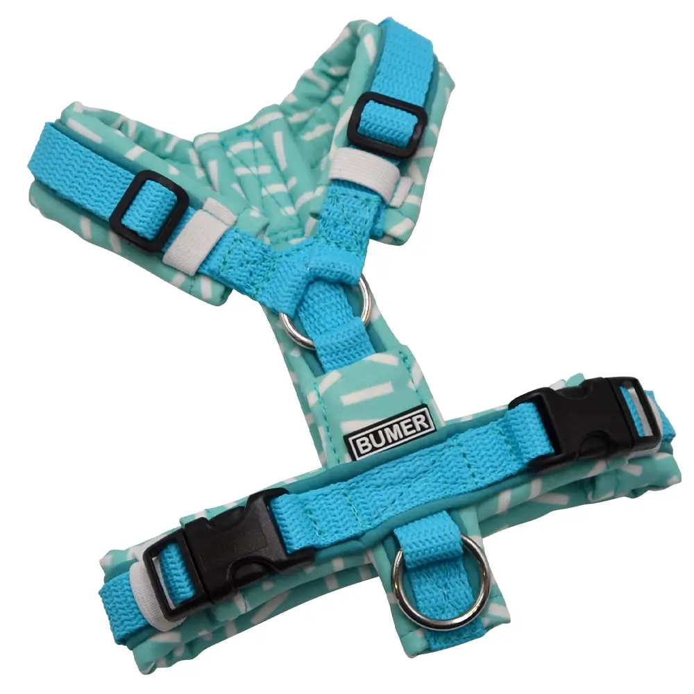 BUMER Hundegeschirr, gepolstert ohne geteilten Bruststeg, Größe XXS, Gurtband PREMIUM X Glacier Breeze, Softshell RETRO 80 #1, Ringe silberfarbig (Edelstahl), Schnallen schwarz (DURAFLEX®), Paspel Türkis Twirl (komplett), Applikation
