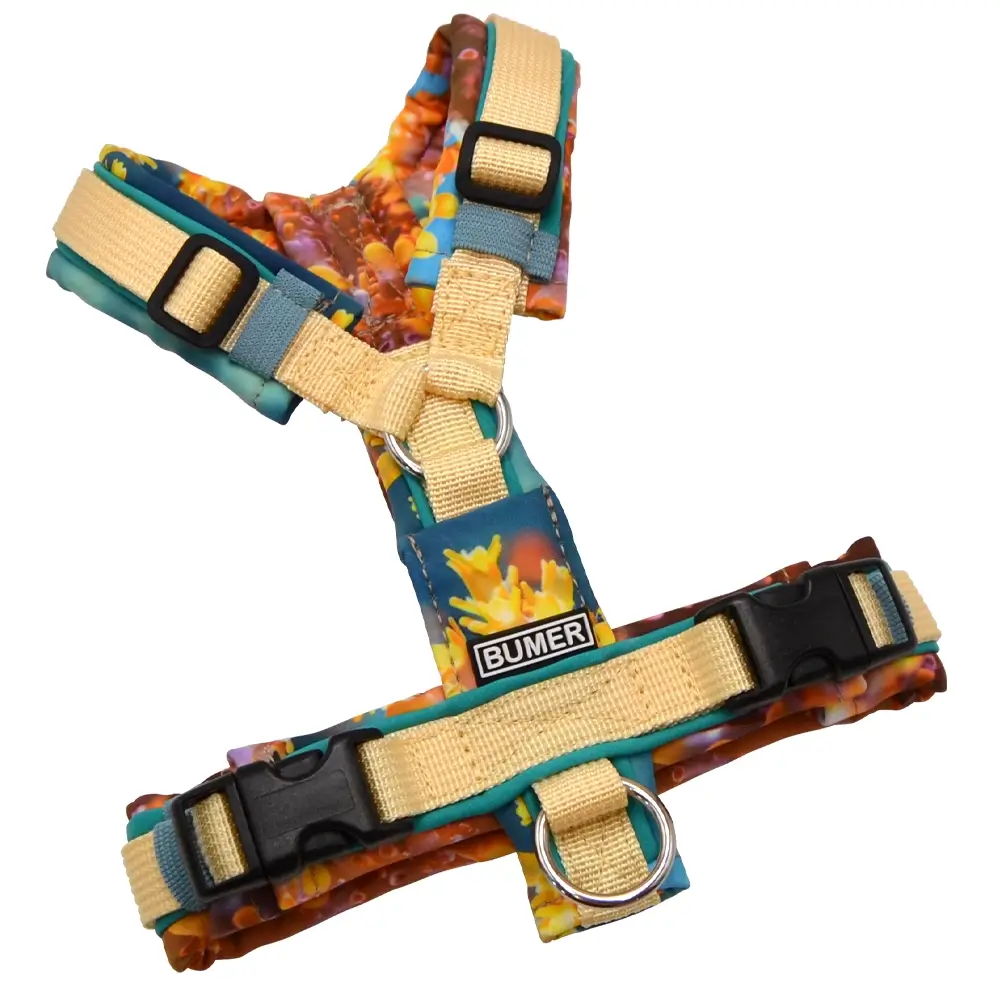 BUMER Hundegeschirr, gepolstert ohne geteilten Bruststeg, Größe XXS, Gurtband PREMIUM Buttercreme, Softshell Coral Flicker, Ringe silberfarbig (Edelstahl), Schnallen schwarz (DURAFLEX®), Applikation