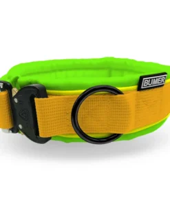 BUMER Hundehalsband, COBRA® Steckhalsband, Softshell