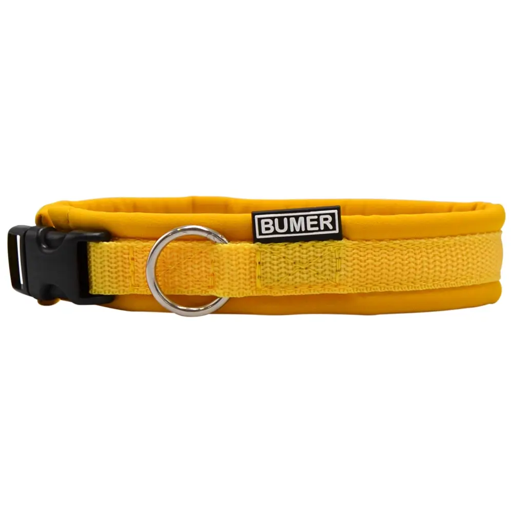 BUMER Steckhalsband, Hundehalsband für Hunde, gepolstert, Halsumfang 35 cm, Gurtband Mais, Softshell Honignektar, Ring silberfarbig (Edelstahl), Schnalle schwarz (DURAFLEX)