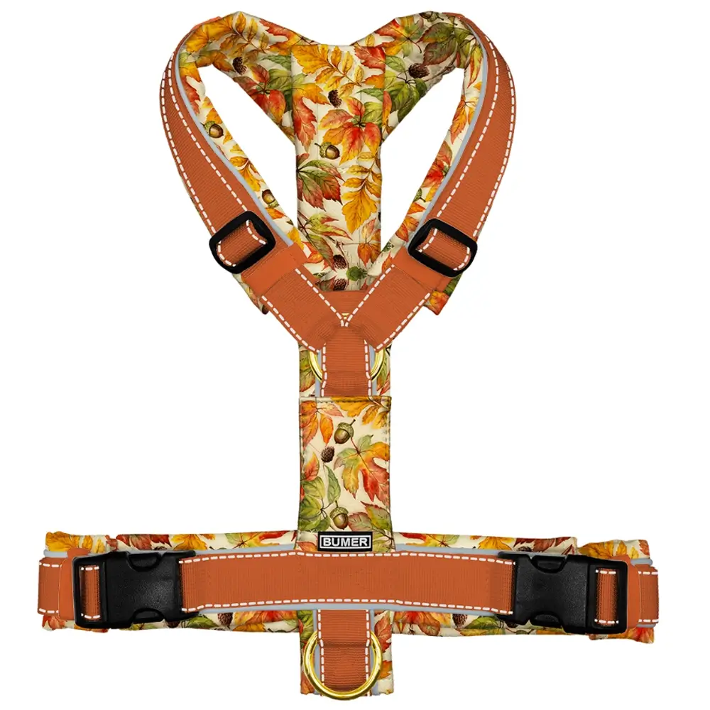 BUMER Hundegeschirr HERBSTMOTIVE, Softshell