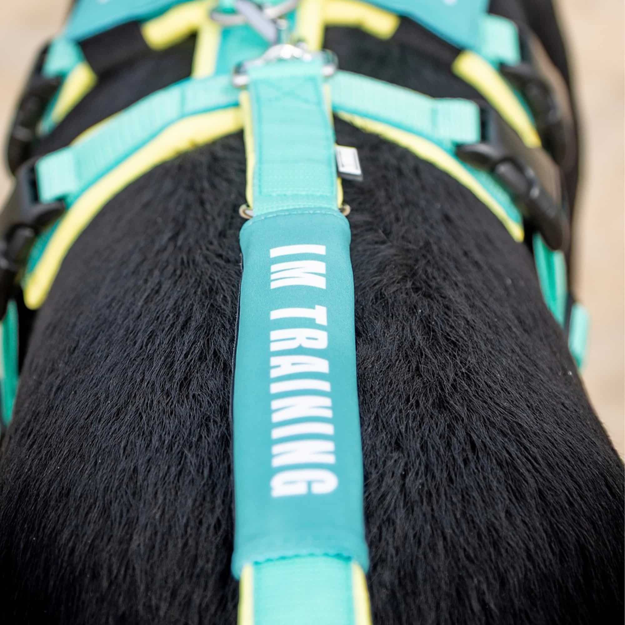 BUMER Leinen-Bandarole für Hundeleinen, (Softshell)