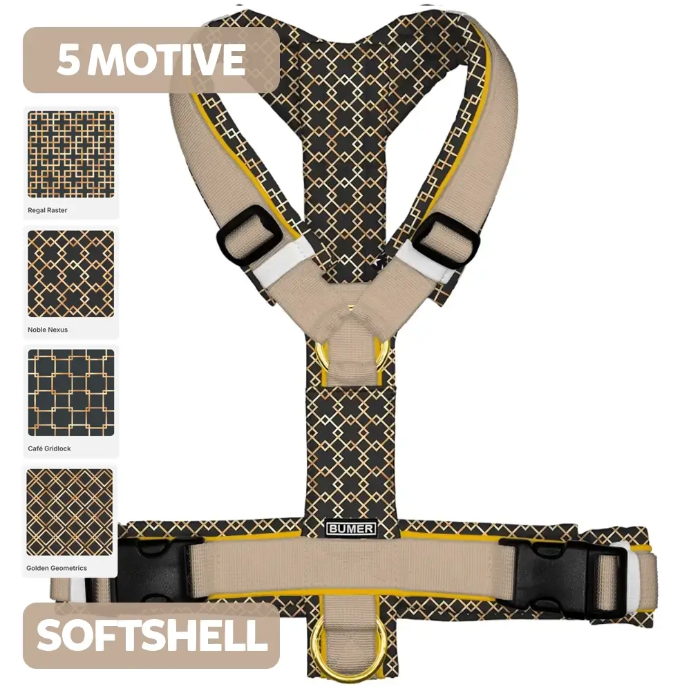 BUMER Hundegeschirr GEOMETRIE, gepolstert, (Softshell), komplett konfigurierbar