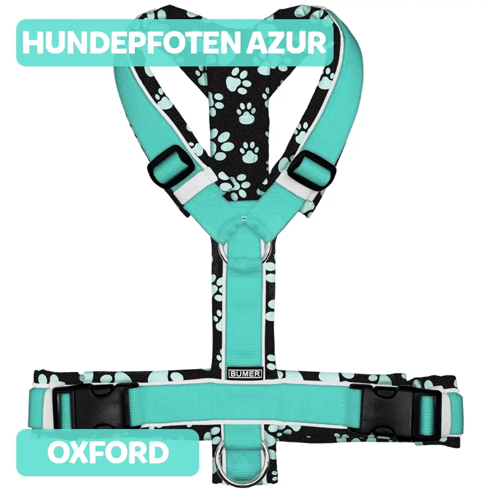 BUMER Hundegeschirr HUNDEPFOTEN AZUR gepolstert, (Oxford), komplett konfigurierbar