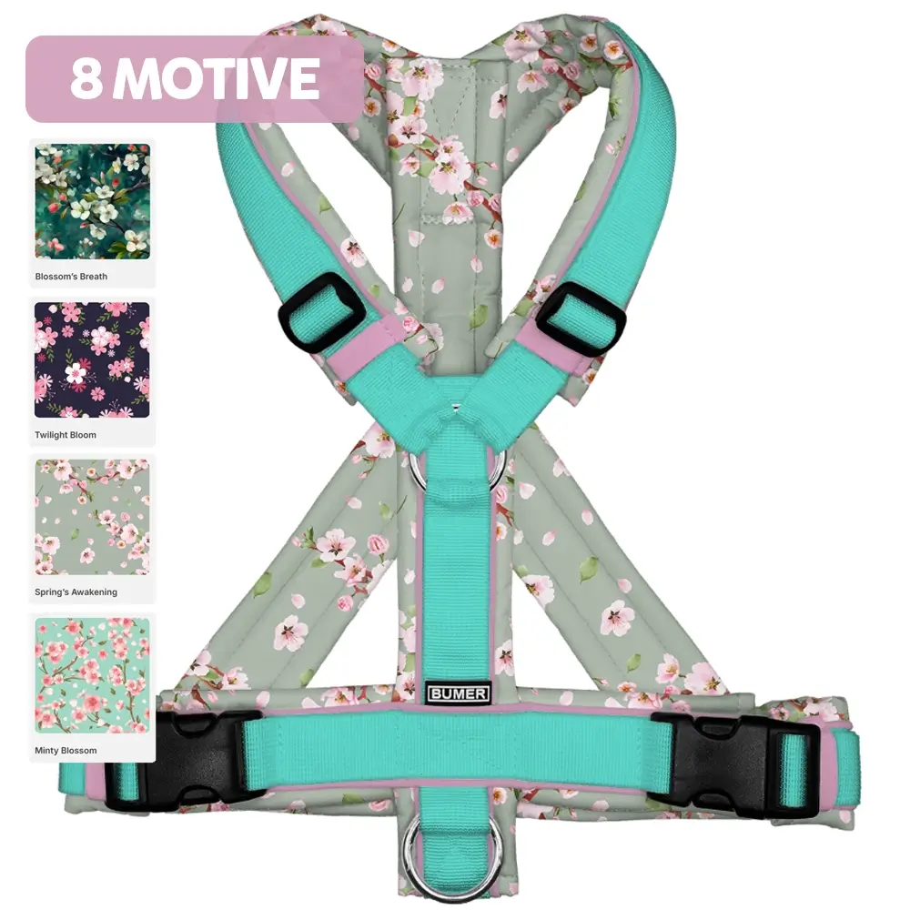 BUMER Hundegeschirr KIRSCHBLÜTEN, gepolstert, (Softshell), komplett konfigurierbar