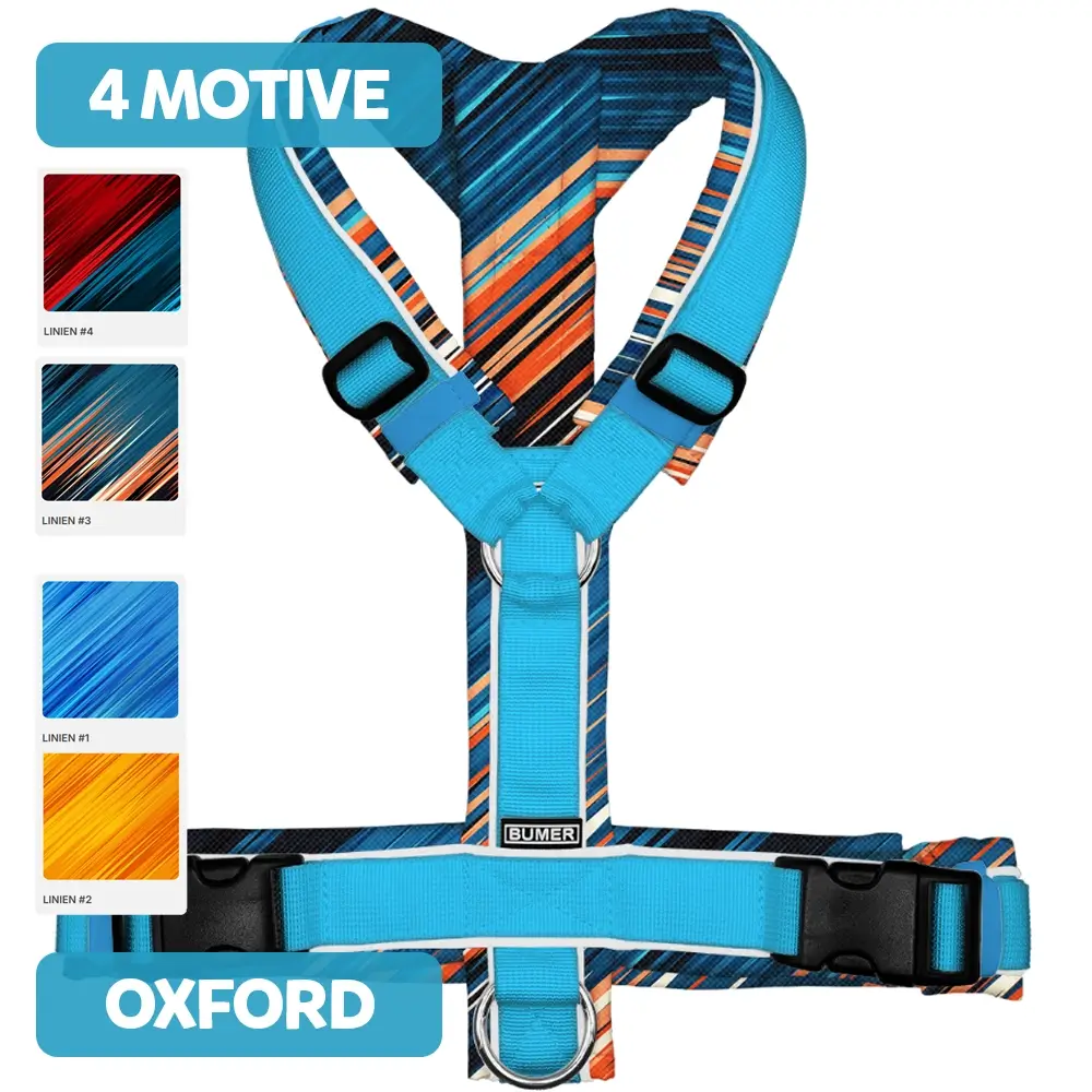 BUMER Hundegeschirr LINIEN, gepolstert, (Oxford), komplett konfigurierbar
