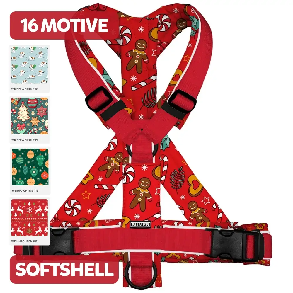 BUMER Hundegeschirr, gepolstert, (Softshell), komplett konfigurierbar WEIHNACHTEN